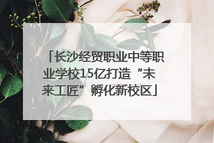 长沙经贸职业中等职业学校15亿打造“未来工匠”孵化新校区
