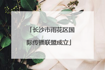 长沙市雨花区国际传播联盟成立