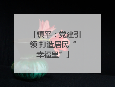 镇平：党建引领 打造居民“幸福里”