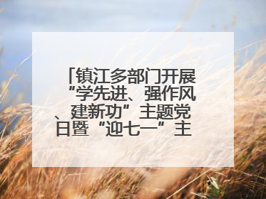 镇江多部门开展“学先进、强作风、建新功”主题党日暨“迎七一”主题活动