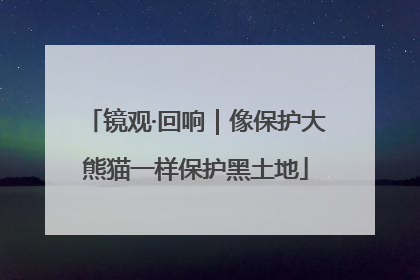 镜观·回响｜像保护大熊猫一样保护黑土地