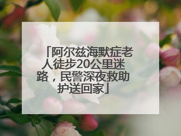 阿尔兹海默症老人徒步20公里迷路，民警深夜救助护送回家