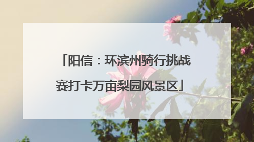 阳信：环滨州骑行挑战赛打卡万亩梨园风景区