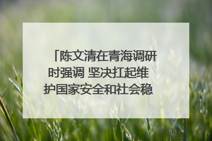 陈文清在青海调研时强调 坚决扛起维护国家安全和社会稳定职责使命 为谱写中国式现代化青海篇章贡献政法力量