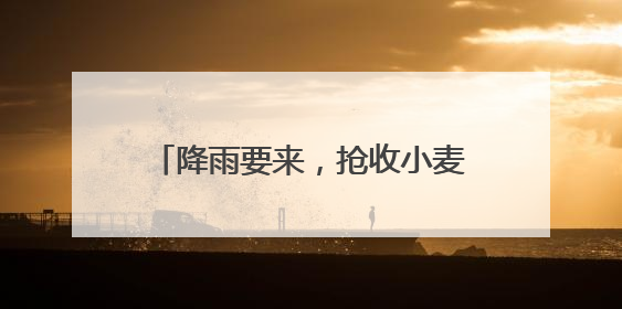 降雨要来，抢收小麦开启“倍速模式”