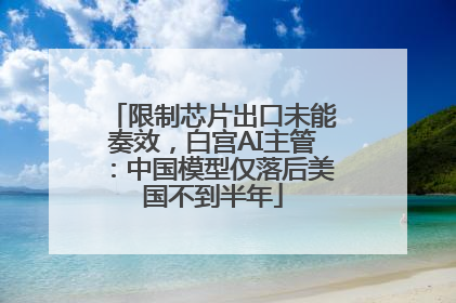 限制芯片出口未能奏效，白宫AI主管：中国模型仅落后美国不到半年