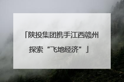 陕投集团携手江西赣州 探索“飞地经济”