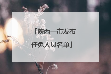 陕西一市发布任免人员名单