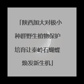 陕西加大对极小种群野生植物保护培育让秦岭石蝴蝶焕发新生机