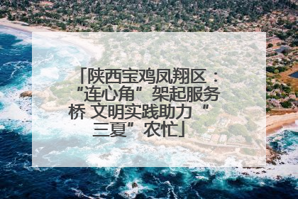 陕西宝鸡凤翔区：“连心角”架起服务桥 文明实践助力“三夏”农忙