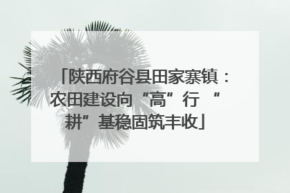 陕西府谷县田家寨镇：农田建设向“高”行 “耕”基稳固筑丰收
