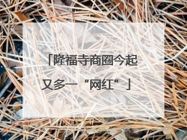 隆福寺商圈今起又多一“网红”