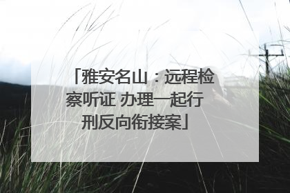 雅安名山：远程检察听证 办理一起行刑反向衔接案