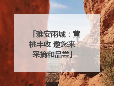 雅安雨城：黄桃丰收 邀您来采摘和品尝