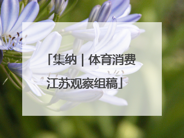 集纳｜体育消费江苏观察组稿