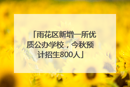 雨花区新增一所优质公办学校，今秋预计招生800人