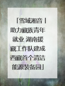 雪域湘音丨助力藏族青年就业 湖南援藏工作队建成西藏首个清洁能源装备园