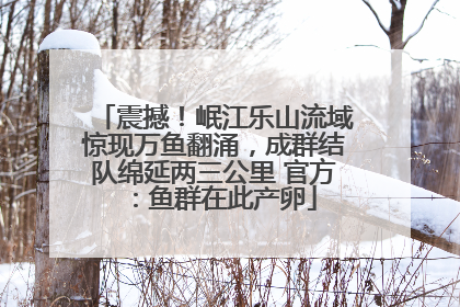 震撼！岷江乐山流域惊现万鱼翻涌，成群结队绵延两三公里 官方：鱼群在此产卵