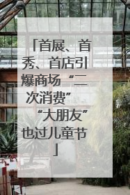 首展、首秀、首店引爆商场“二次消费” “大朋友”也过儿童节