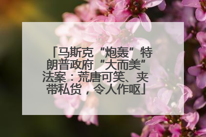 马斯克“炮轰”特朗普政府“大而美”法案：荒唐可笑、夹带私货，令人作呕
