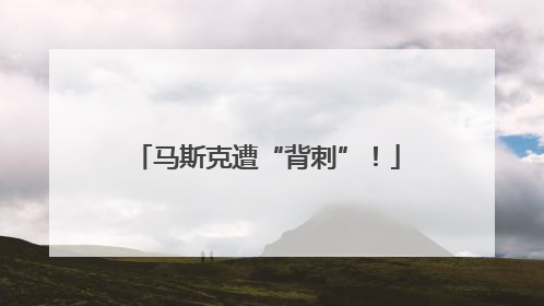 马斯克遭“背刺”！