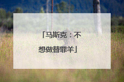 马斯克：不想做替罪羊