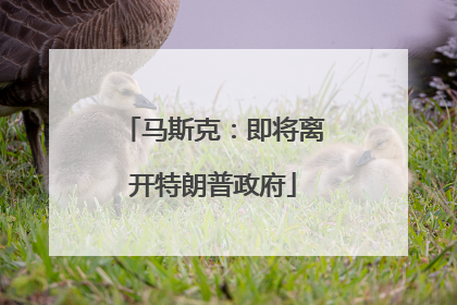 马斯克：即将离开特朗普政府