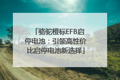 骆驼橙标EFB启停电池：引领高性价比启停电池新选择