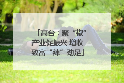 高台：聚“椒”产业促振兴 增收致富“辣”劲足