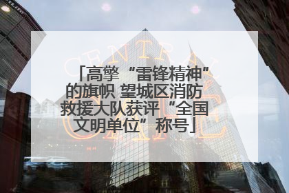 高擎“雷锋精神”的旗帜 望城区消防救援大队获评“全国文明单位”称号