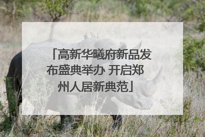 高新华曦府新品发布盛典举办 开启郑州人居新典范