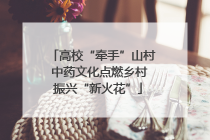 高校“牵手”山村 中药文化点燃乡村振兴“新火花”
