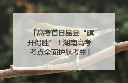 高考首日品尝“旗开得胜”！湖南高考考点全面护航考生