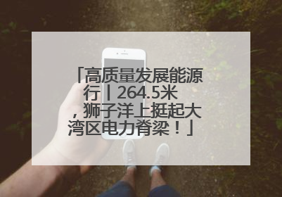高质量发展能源行丨264.5米，狮子洋上挺起大湾区电力脊梁！