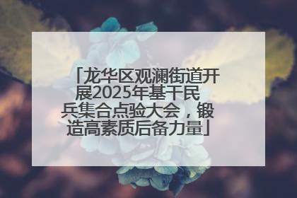 龙华区观澜街道开展2025年基干民兵集合点验大会，锻造高素质后备力量