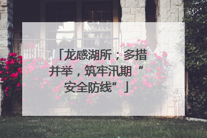 龙感湖所；多措并举，筑牢汛期“安全防线”