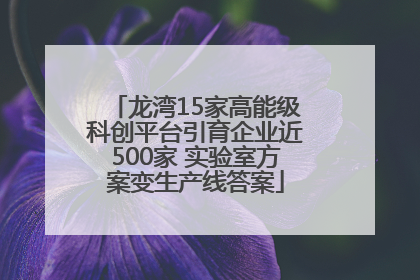 龙湾15家高能级科创平台引育企业近500家 实验室方案变生产线答案