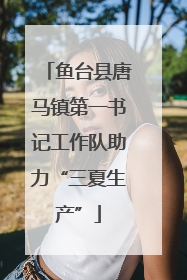 鱼台县唐马镇第一书记工作队助力“三夏生产”