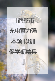 鹤壁市：充电蓄力强本领 以训促学砺精兵