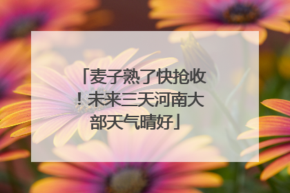 麦子熟了快抢收！未来三天河南大部天气晴好