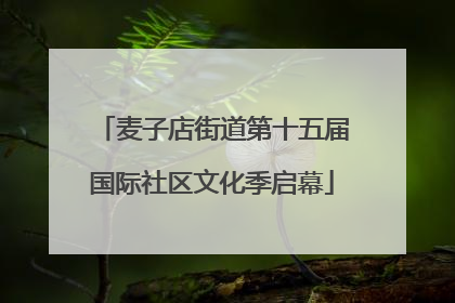 麦子店街道第十五届国际社区文化季启幕