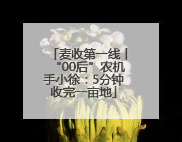麦收第一线丨“00后”农机手小徐：5分钟收完一亩地
