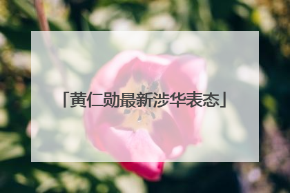 黄仁勋最新涉华表态