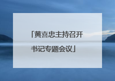 黄喜忠主持召开书记专题会议