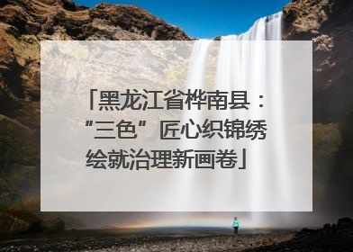 黑龙江省桦南县：“三色”匠心织锦绣 绘就治理新画卷