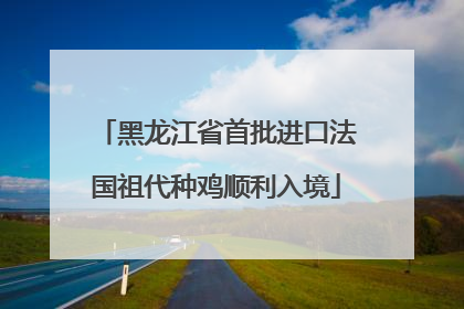 黑龙江省首批进口法国祖代种鸡顺利入境