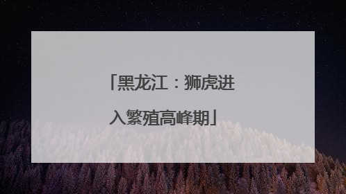 黑龙江：狮虎进入繁殖高峰期