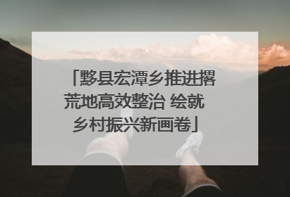 黟县宏潭乡推进撂荒地高效整治 绘就乡村振兴新画卷