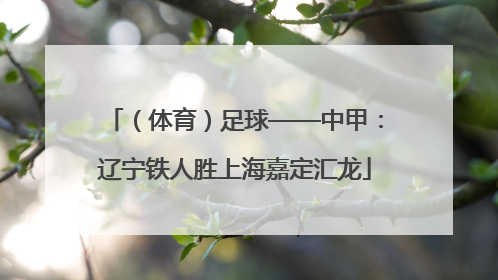 （体育）足球——中甲：辽宁铁人胜上海嘉定汇龙
