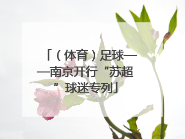（体育）足球——南京开行“苏超”球迷专列